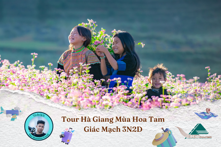 Tour Hà Giang – Mùa Hoa Tam Giác Mạch 3N2Đ